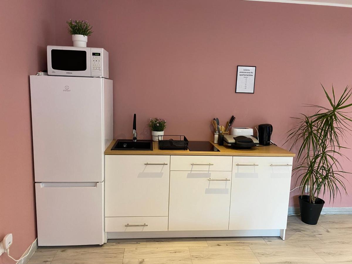 Apartamenty Na Zaciszu Конти-Рибацькі Екстер'єр фото